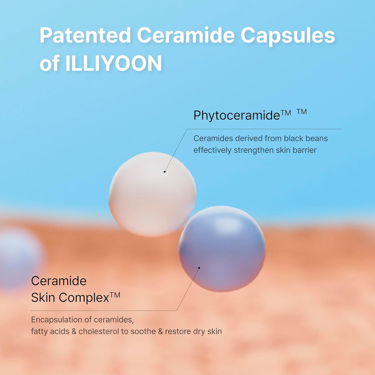 Illiyoon Ceramide Ato Concentrate Cream 150ml - Image 3