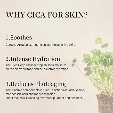 Mixsoon Soondy Centella Asiatica Essence 100ml - Image 3