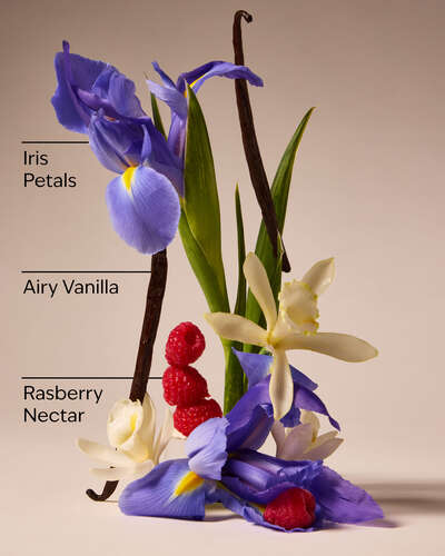 Bath & Body Works Butterfly Fine Fragrance Mist 8Oz 236ml - Image 2